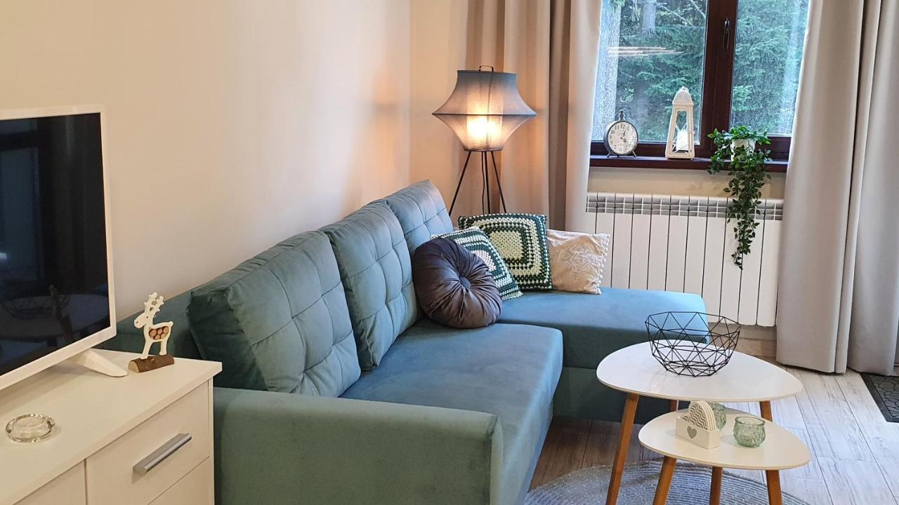 Borovets Holiday Homes المظهر الخارجي الصورة