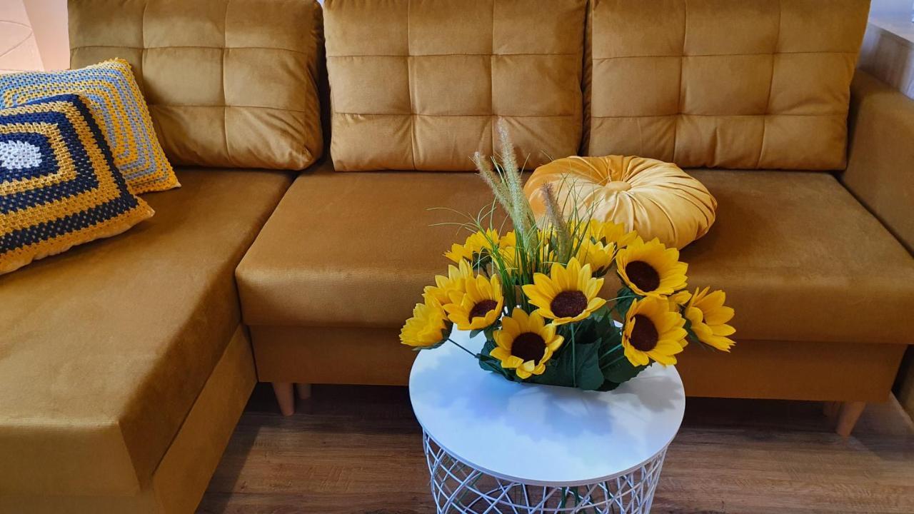 Borovets Holiday Homes المظهر الخارجي الصورة