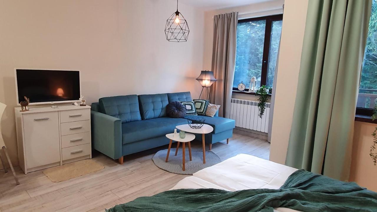 Borovets Holiday Homes المظهر الخارجي الصورة
