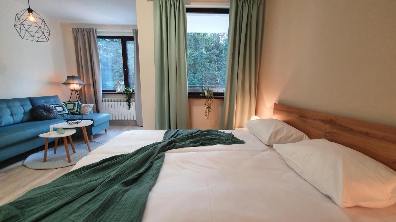 Borovets Holiday Homes المظهر الخارجي الصورة